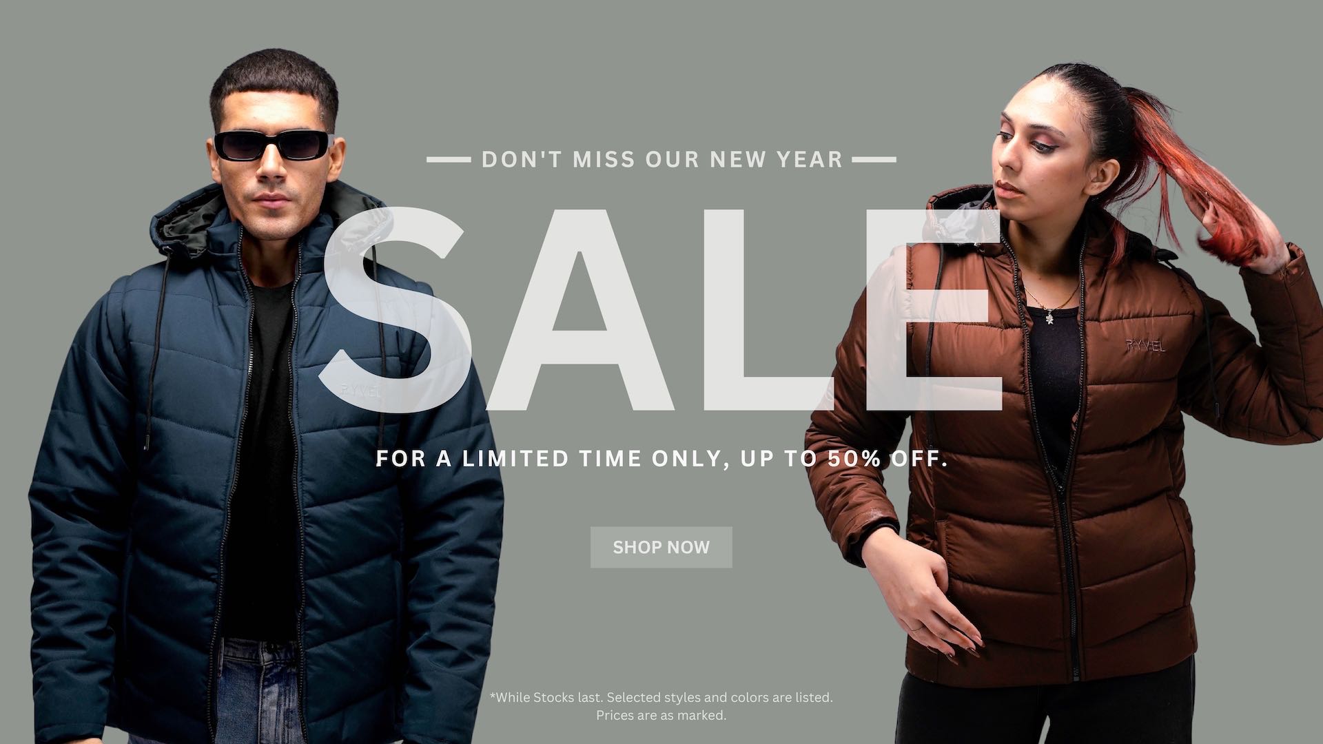 New year sale_puffer-compressed